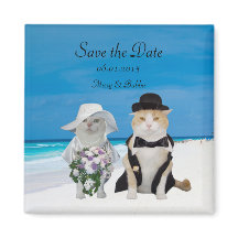 Funny Cats Beach Wedding Salva la fecha