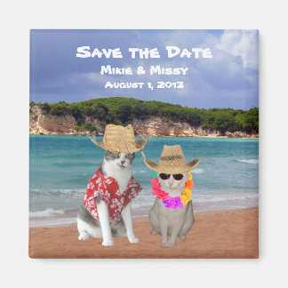 Imán Funny Cats Beach Wedding Salva la fecha