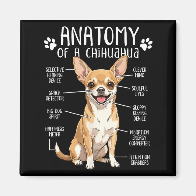 Imán Funny Chihuahua Anatomy Of A Chihuahua Dog Owner P (Frente)