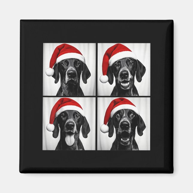 Imán Funny Christmas German Shorthaired Inter Santa Pho (Frente)