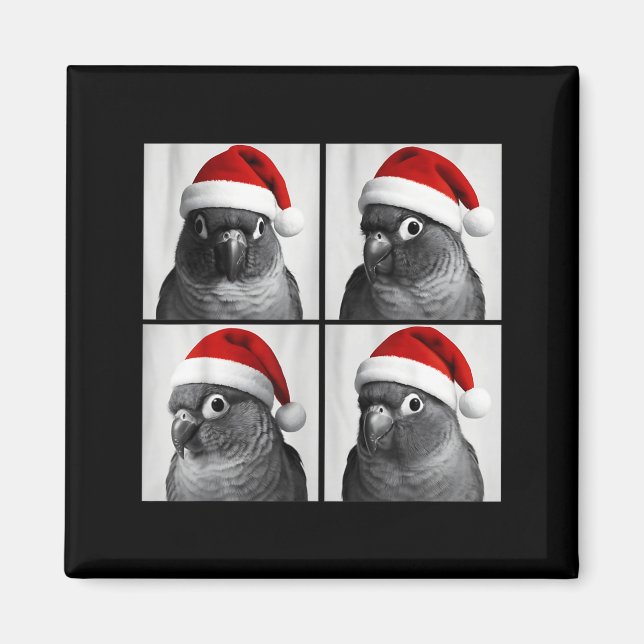 Imán Funny Christmas Green Cheek Conure Santa Photo Boo (Frente)