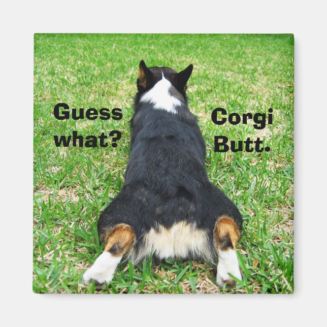 Imán Funny Corgi Butt (Frente)