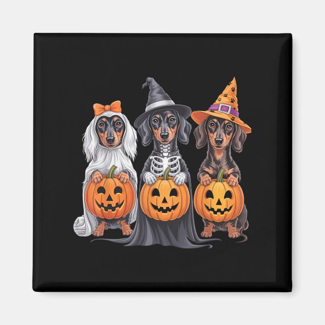 Imán Funny Dachshund Halloween Calabaza Weenie Dog Skel (Frente)