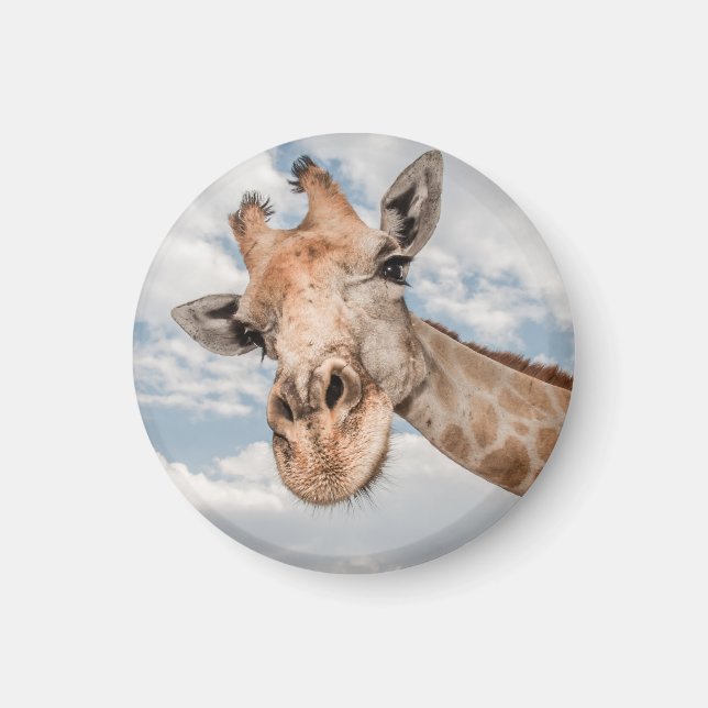 Imán Funny Giraffe (Frente)