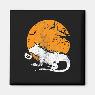 Imán Funny Iguana Calabaza Halloween Vestidos Hombres M