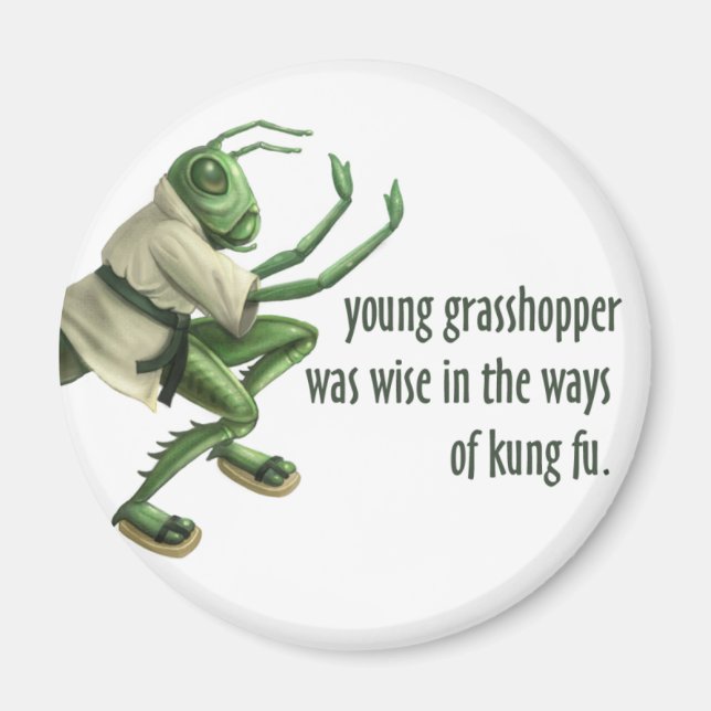 Imán Funny Kung Fu Grasshopper (Frente)