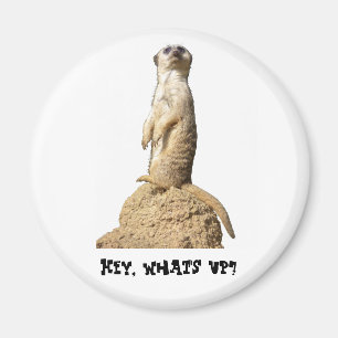 Imán Funny Meerkat de pie