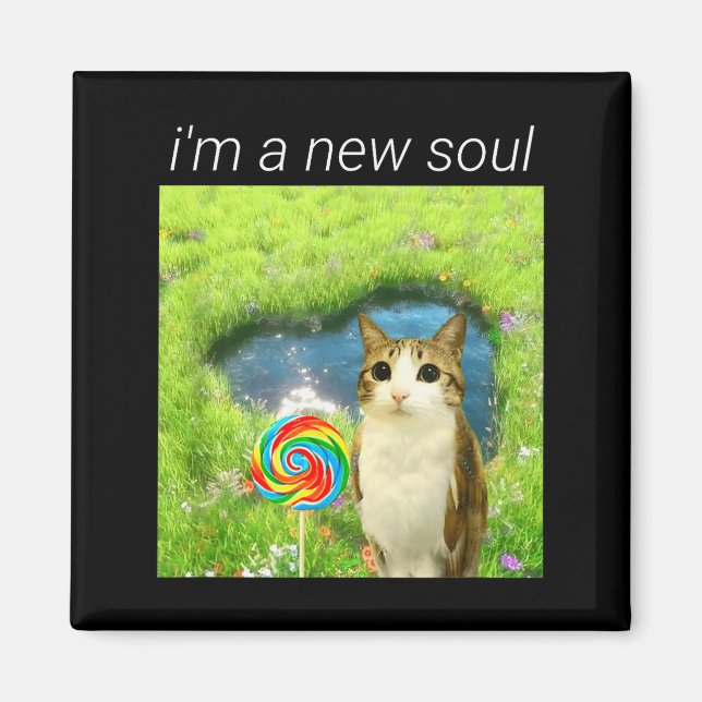 Imán Funny Meowl Meme, Cat Owl Meme Brainrot Gen Alpha  (Frente)