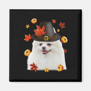 Imán Funny Peregrino Pomerano Peregrino Gorra Caer Feli