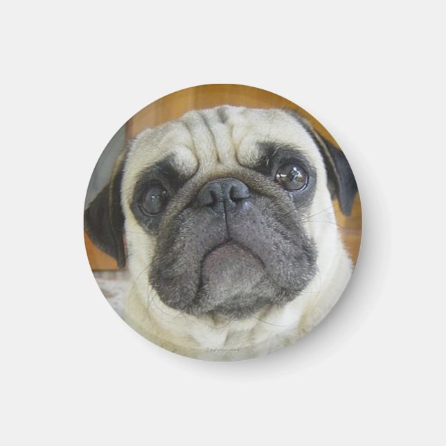 Imán Funny Pug Face Refrigerador Magnet Fridge Magnets (Frente)