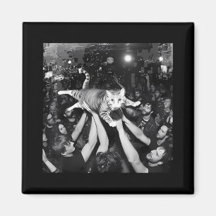 Imán Funny Rock Show Cat Meme Cute Tabby Kitten Crowd S
