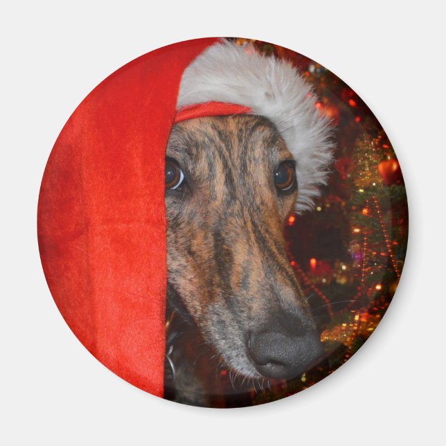 Imán Funny Santa Dog-Lurcher Greyhound Navidades Gorra (Frente)