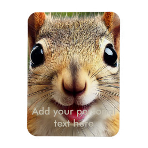 Imán Funny Squirrel Fridge Magnet - Kit Cute y Quirky