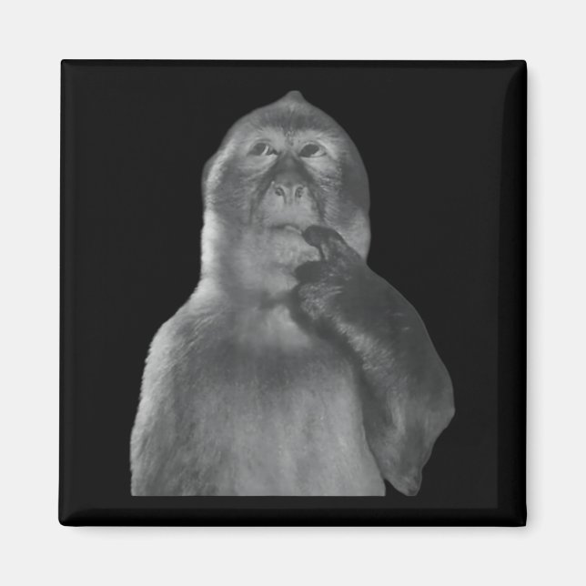 Imán Funny Thinking Monkey Meme Curious Ape Brainrot  (Frente)