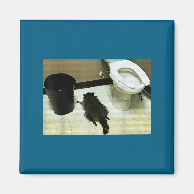 Imán Funny Trashed Panda Drunk Racoon  (Frente)