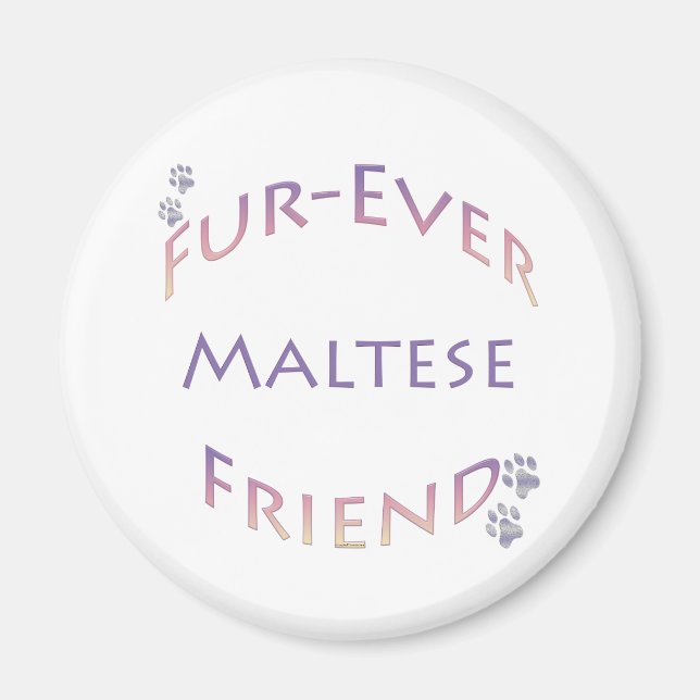 Imán Furever maltés (Frente)