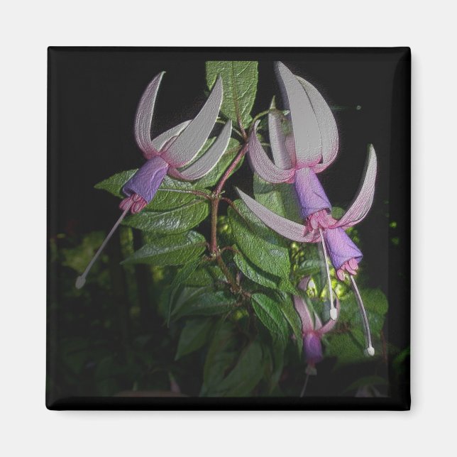 Imán Fushia Azul (Frente)