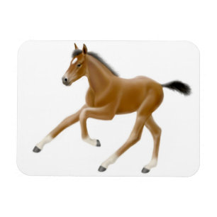 Imán Futuro Champion Bay Foal Premium Magnet