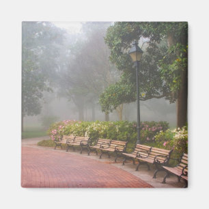 Imán GA Savannah, Azaleas a lo largo de la acera de lad