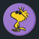 Imán Gafas de sol Guay Woodstock<br><div class="desc">Echa un vistazo a este diseño super lindo con Woodstock usando gafas de sol geniales.</div>