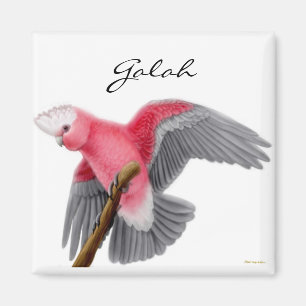 Imán Galah Cockatoo Magnet