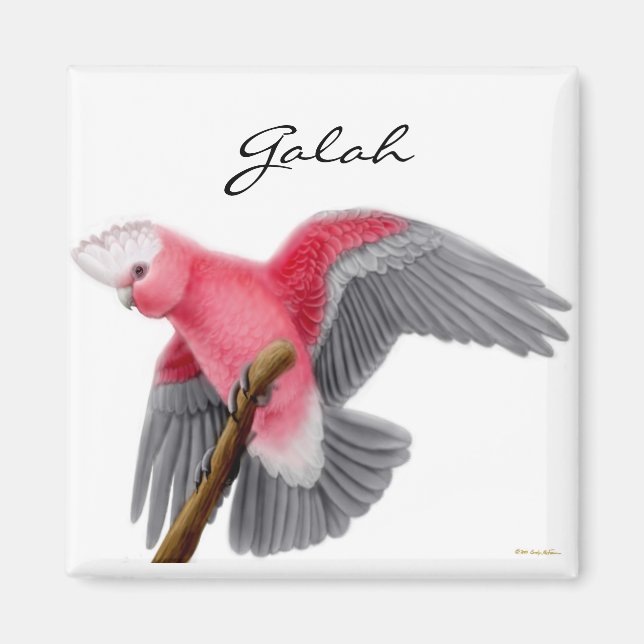 Imán Galah Cockatoo Magnet (Frente)