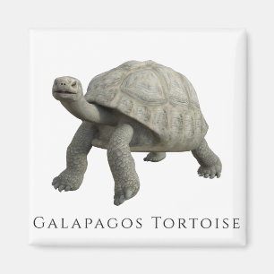 Imán Galápagos Tortoise