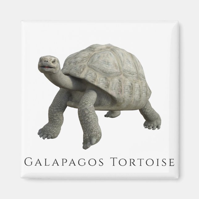 Imán Galápagos Tortoise (Frente)