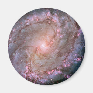Imán Galaxia Espiral Barrada Messier 83.