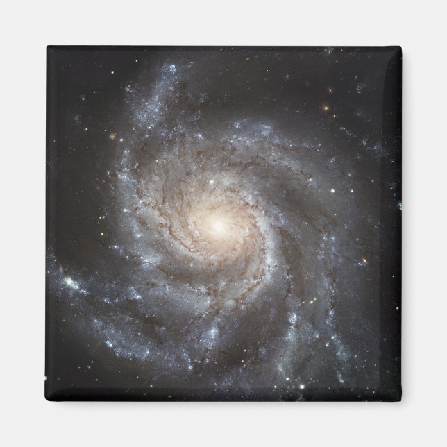 Imán Galaxia espiral Messier 101 (Frente)