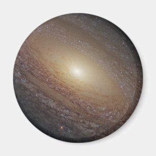 Imán Galaxia Espiral Ngc 2841