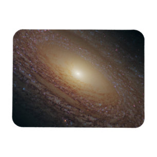 Imán Galaxia Espiral Ngc 2841