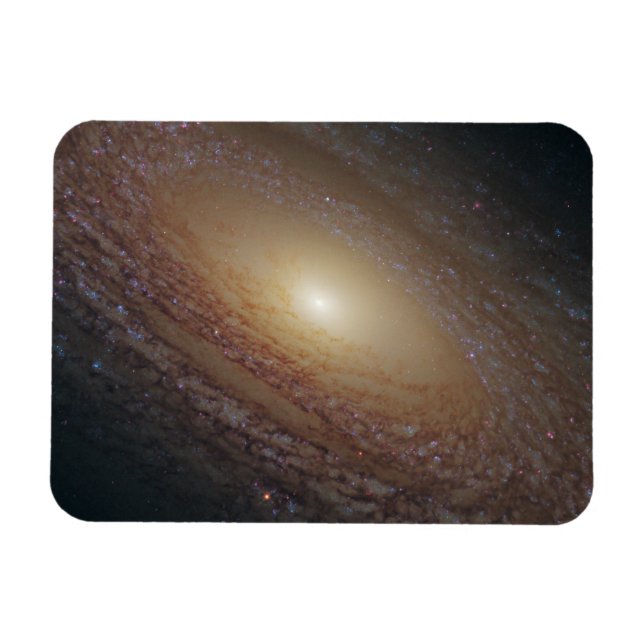 Imán Galaxia Espiral Ngc 2841 (Horizontal)