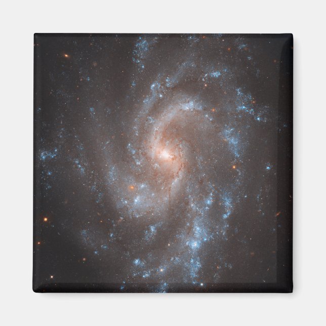 Imán Galaxia Espiral Ngc 5584 (Frente)