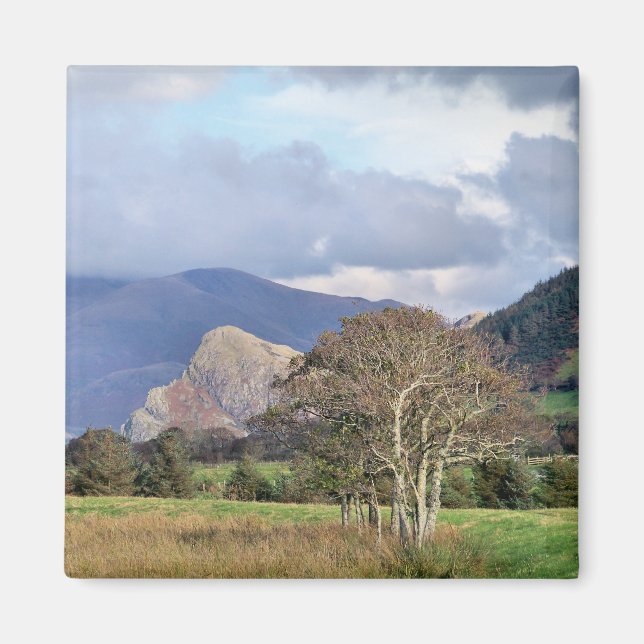 IMÁN GALES (Frente)