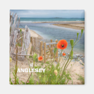 Imán Gales Anglesey Vista Escenaria Playa Y Poppies Sal