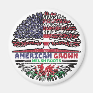 Imán Galés de Gales EE.UU. EE.UU. Árbol de los Estados