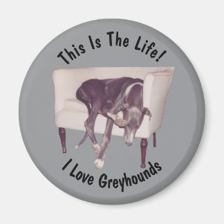 Imán Galgo Así es la vida