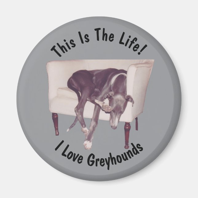 Imán Galgo Así es la vida  (Frente)