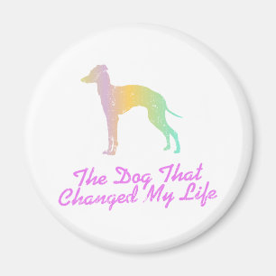 Imán Galgo italiano