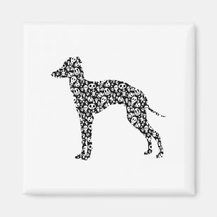 Imán Galgo italiano