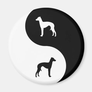 Imán Galgo italiano Yin Yang