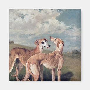 Imán Galgos