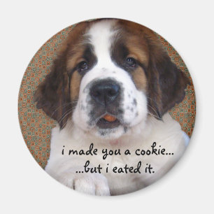 Imán Galleta del perrito de St Bernard