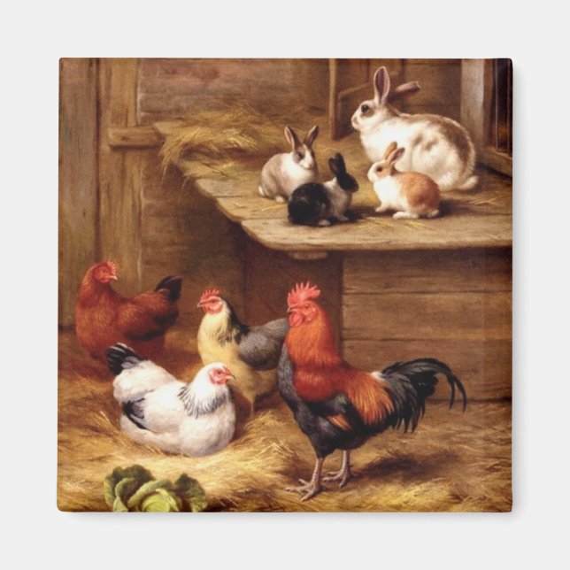 Imán Gallinas de gallina de gallos de conejo conejillos (Frente)