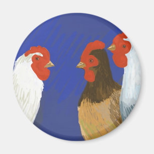 Imán gallinas francesas