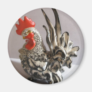 Imán Gallo