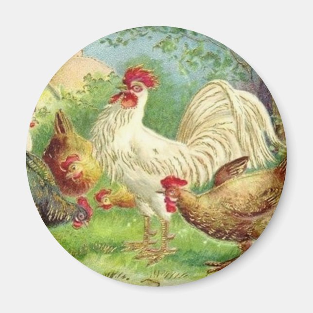 Imán Gallo de campo vintage y pollos (Frente)