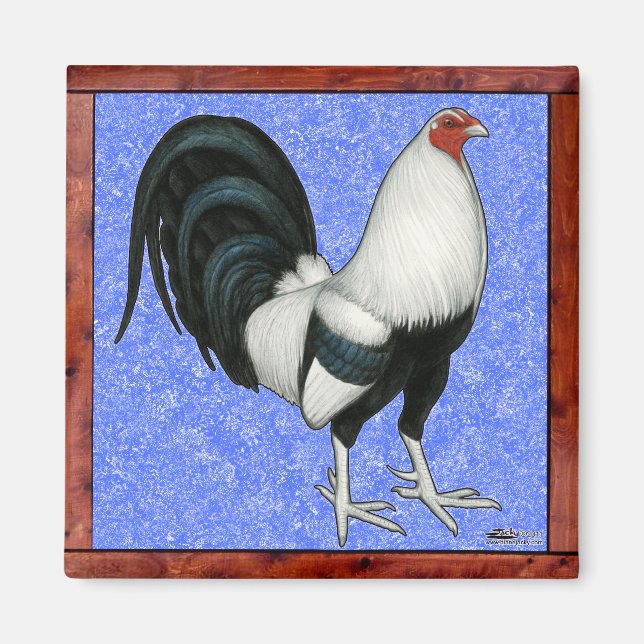 Imán Gallo de pelea enmarcado (Frente)