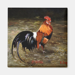 Imán Gallo/Galo/Gallo